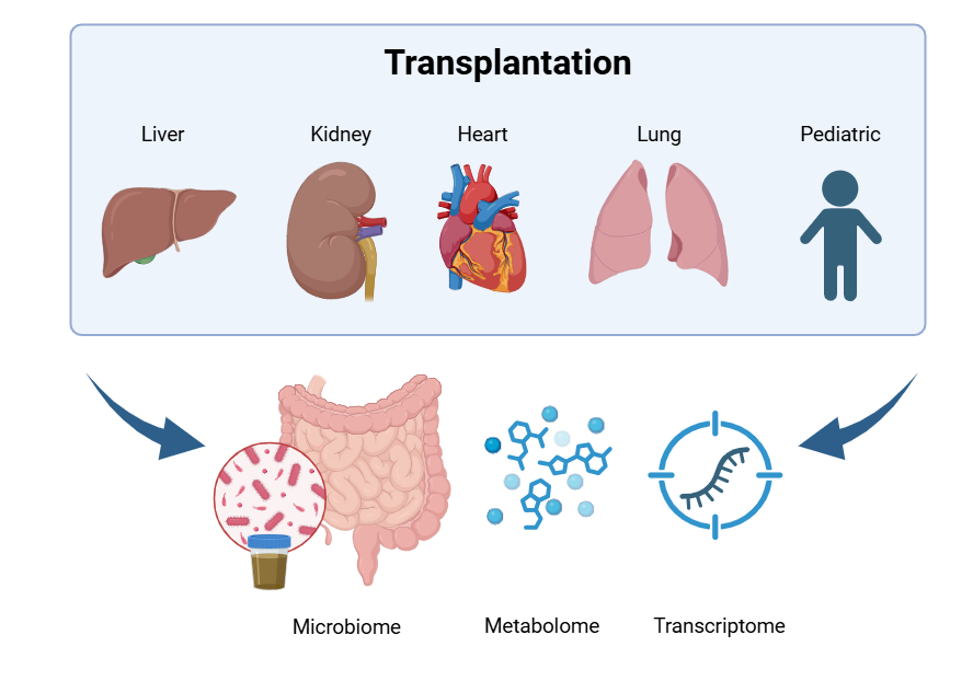 Skin Microbiome Study Image 3