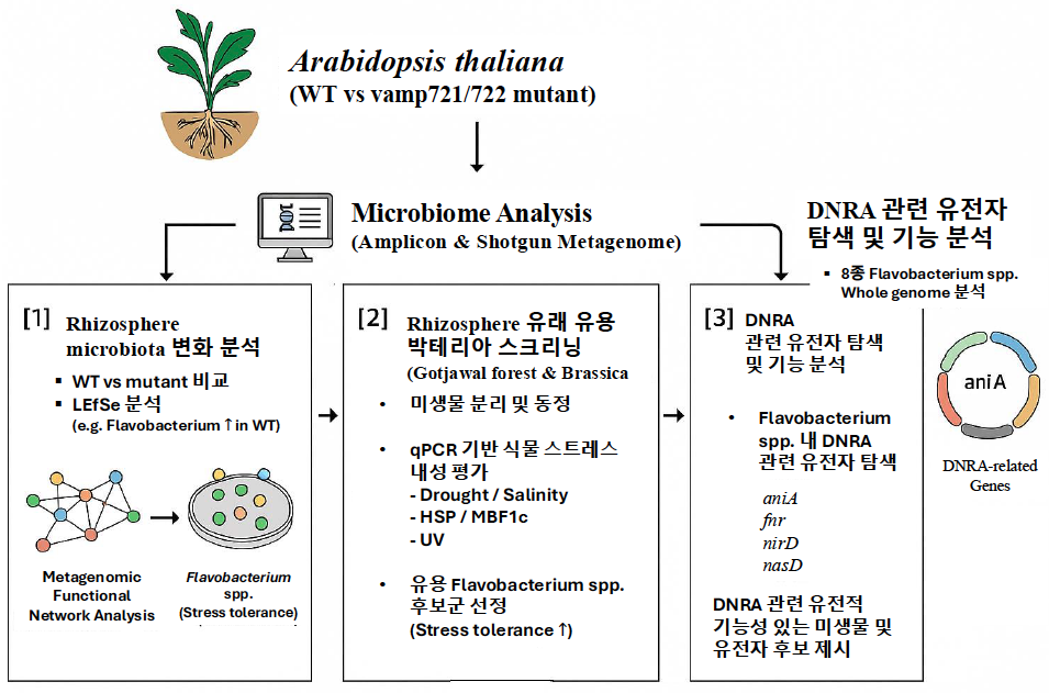 Microbiome Study Image