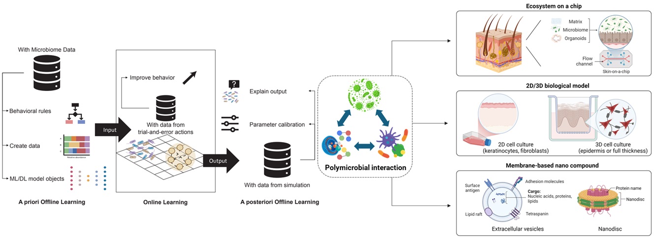 Microbiome Study Image