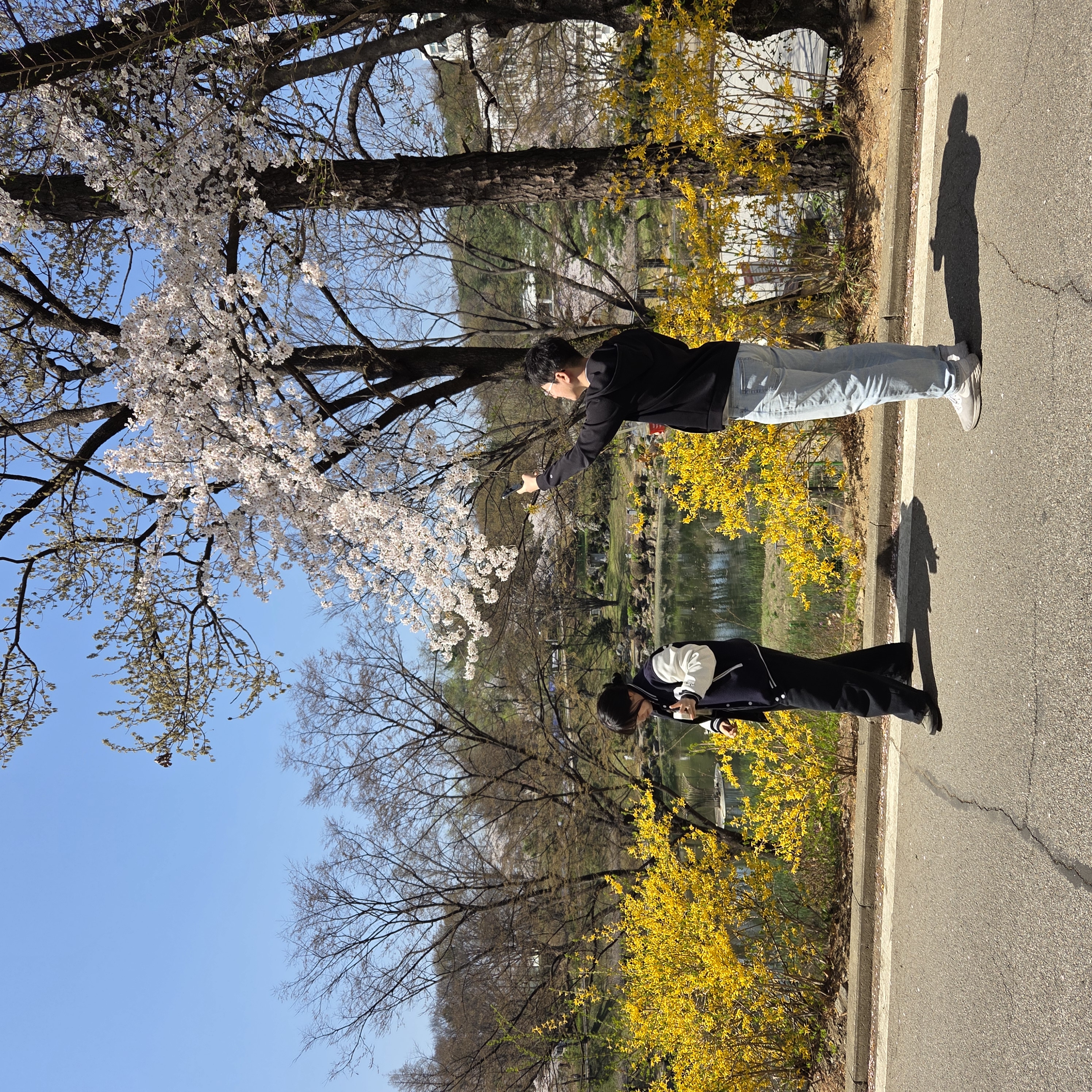 KakaoTalk_20260415_181832196_01.jpg